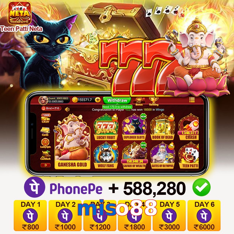 miso88