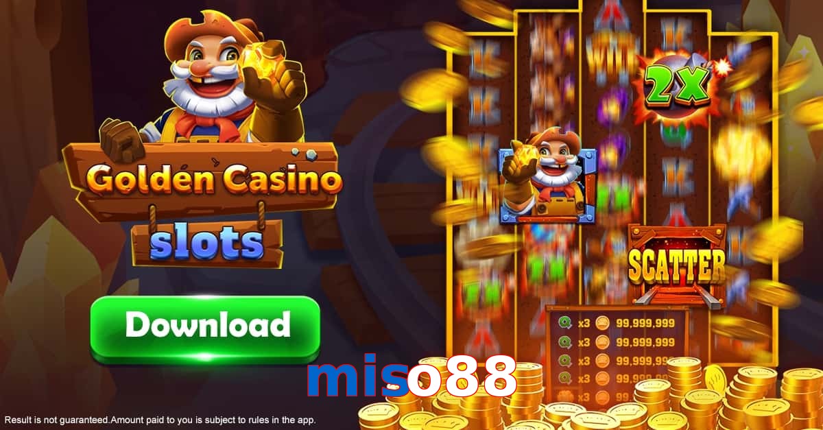 miso88