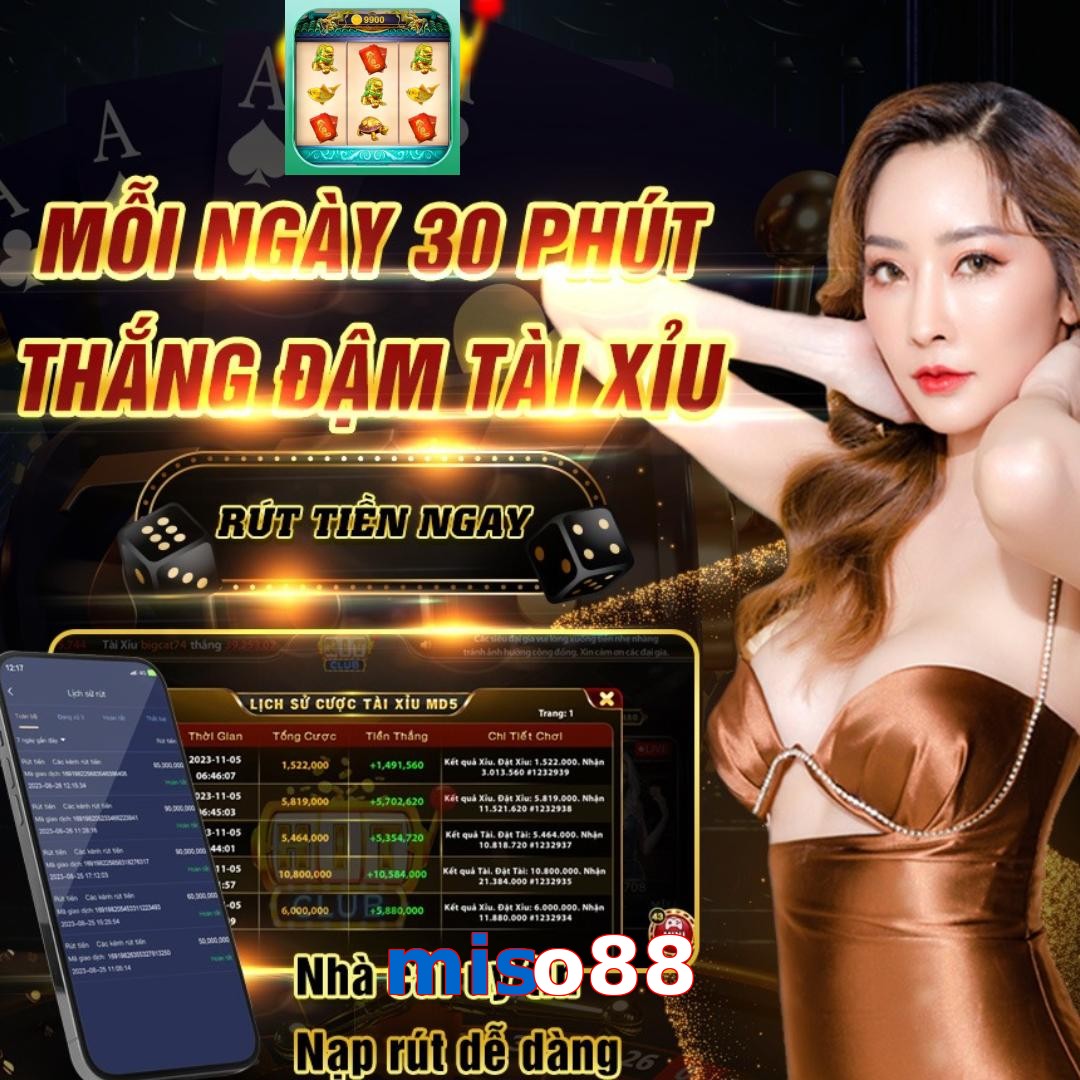 miso88