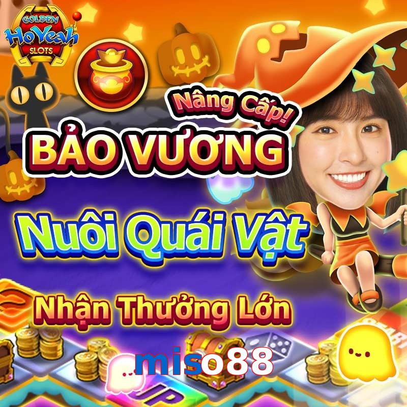 miso88