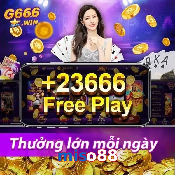 miso88