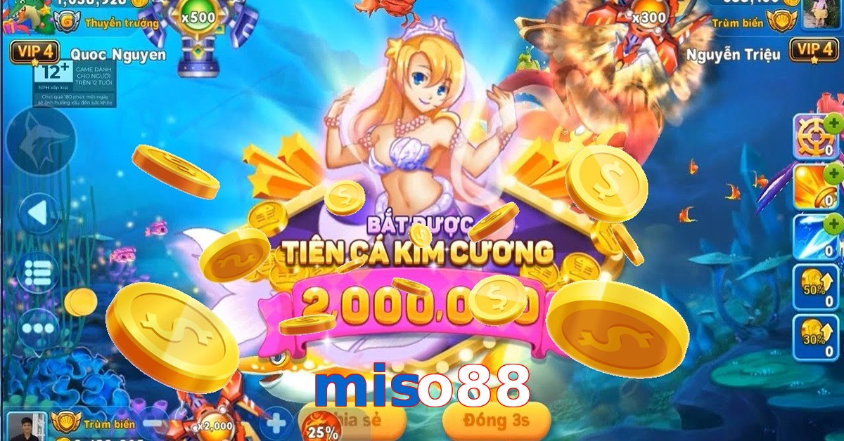 miso88
