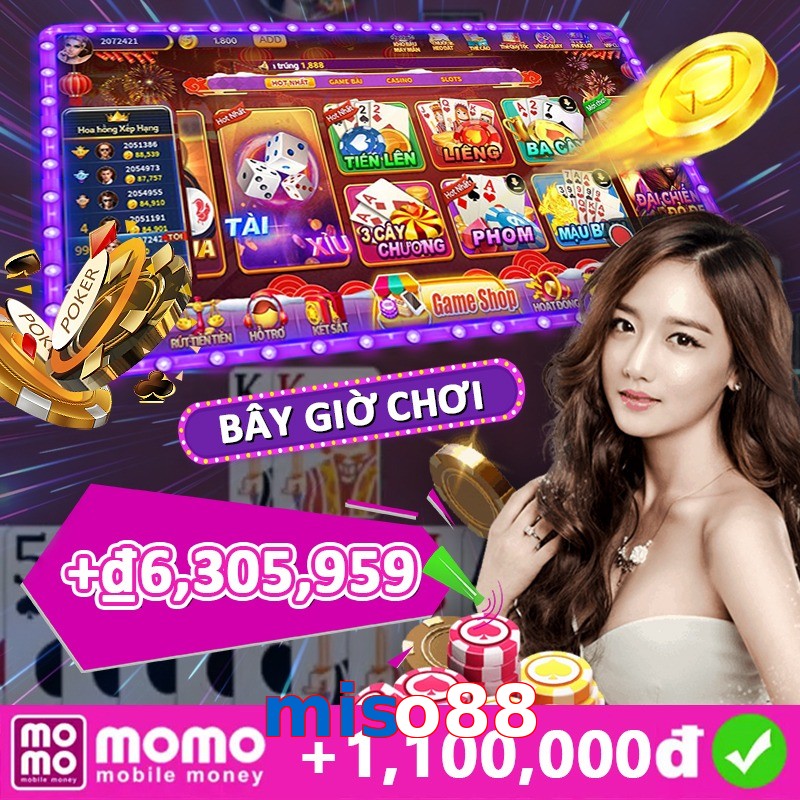 miso88