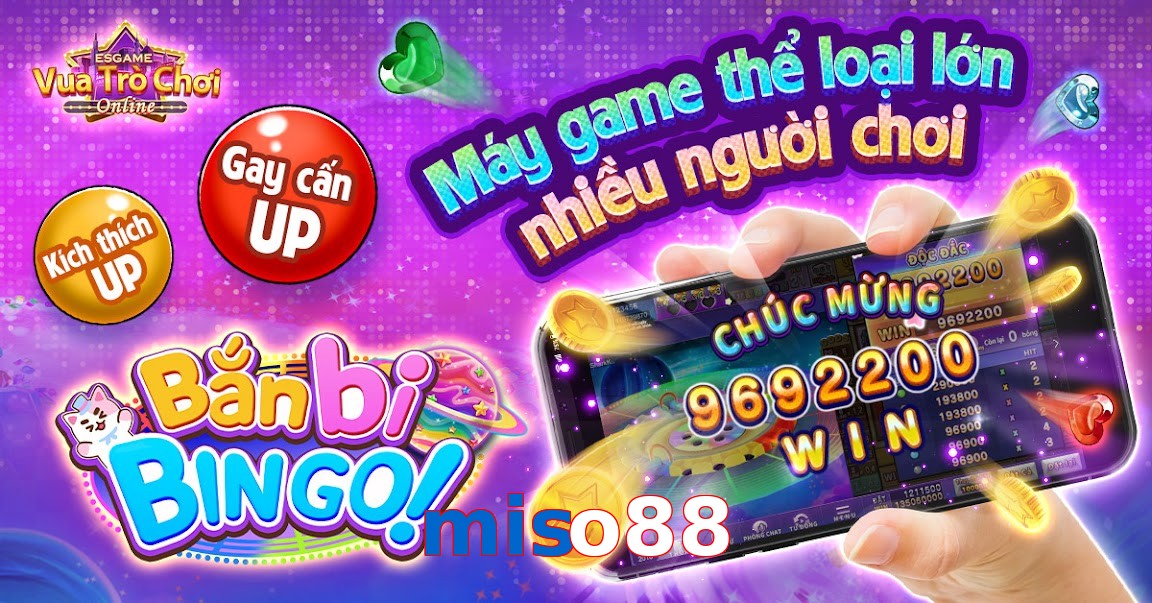 miso88