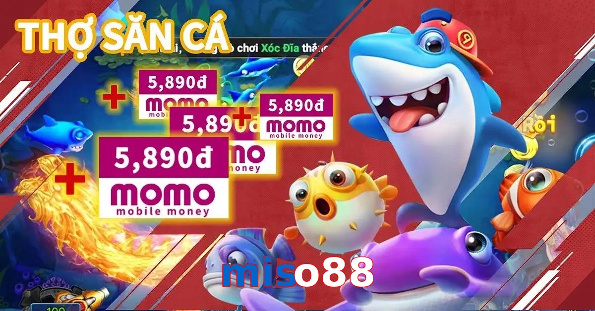 miso88