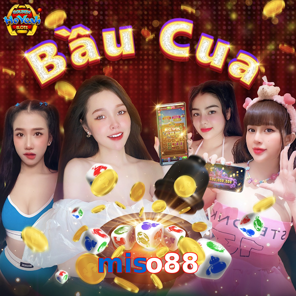 miso88