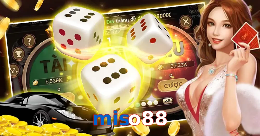 miso88