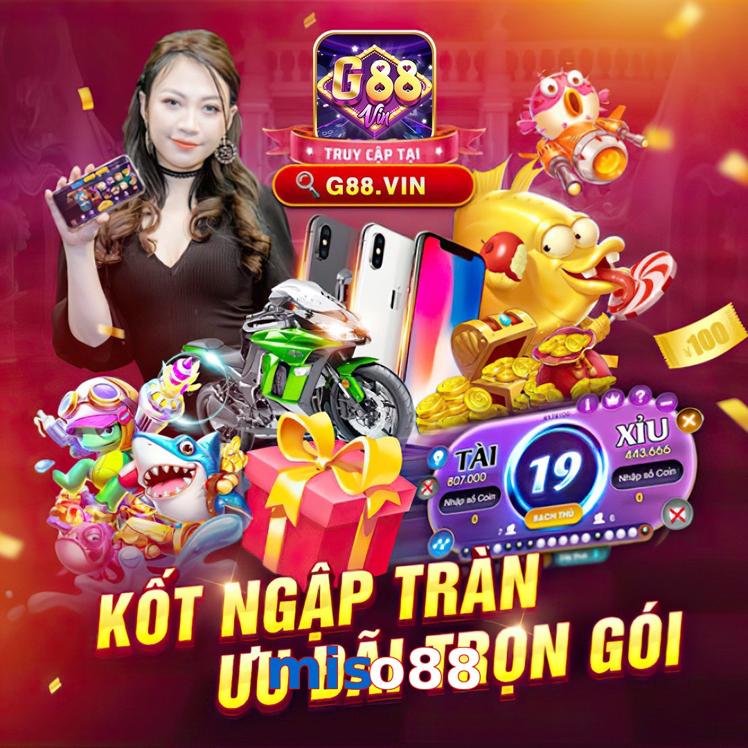 miso88