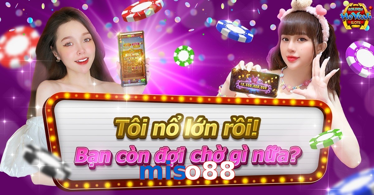miso88