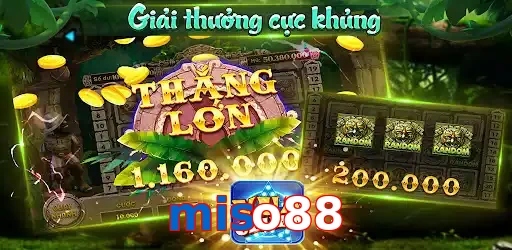 miso88