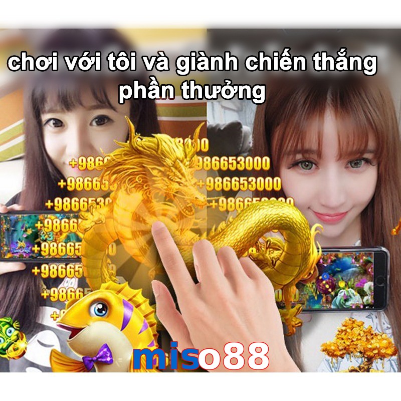miso88