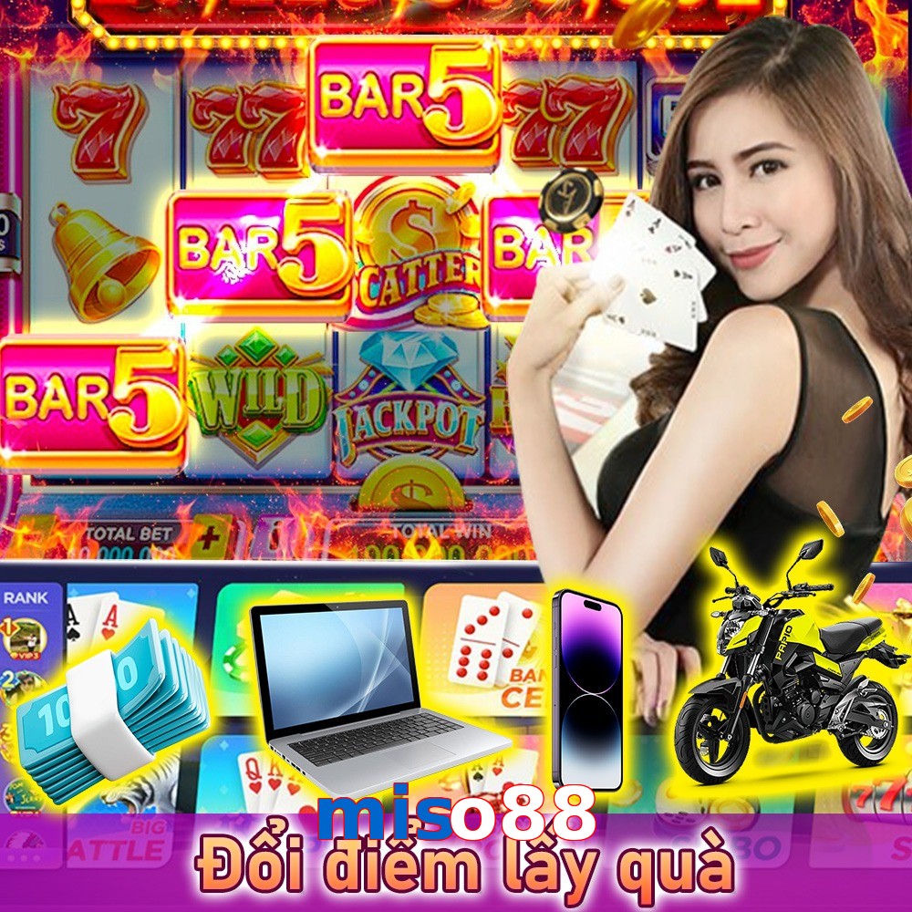 miso88