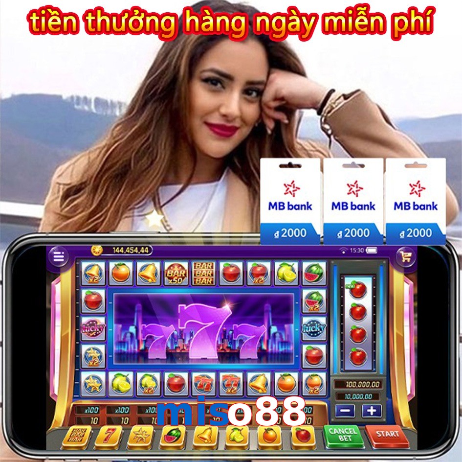 miso88