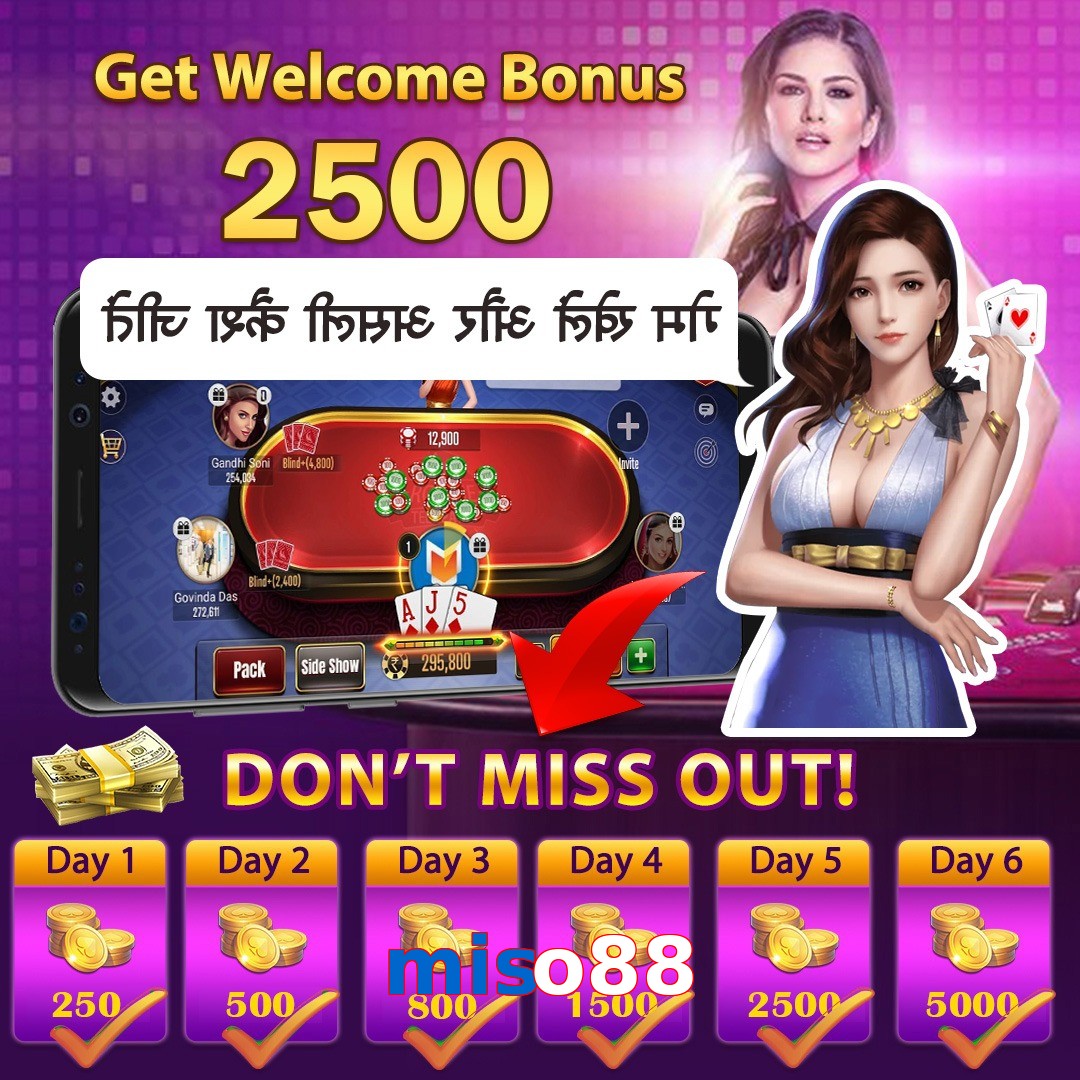 miso88