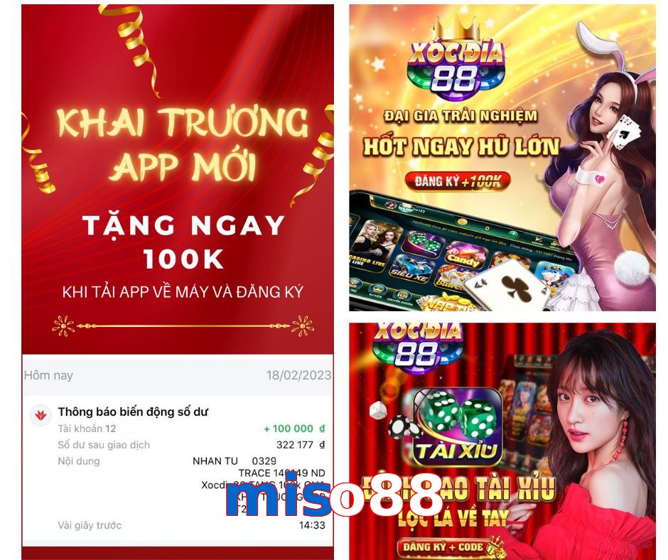 miso88