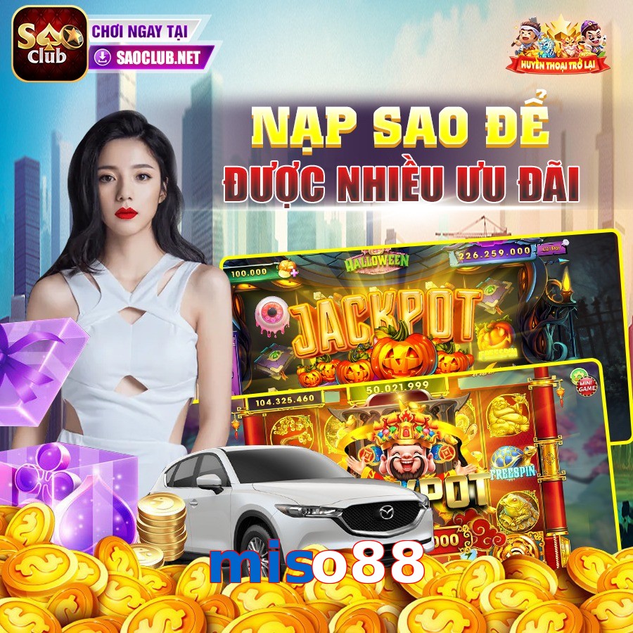 miso88